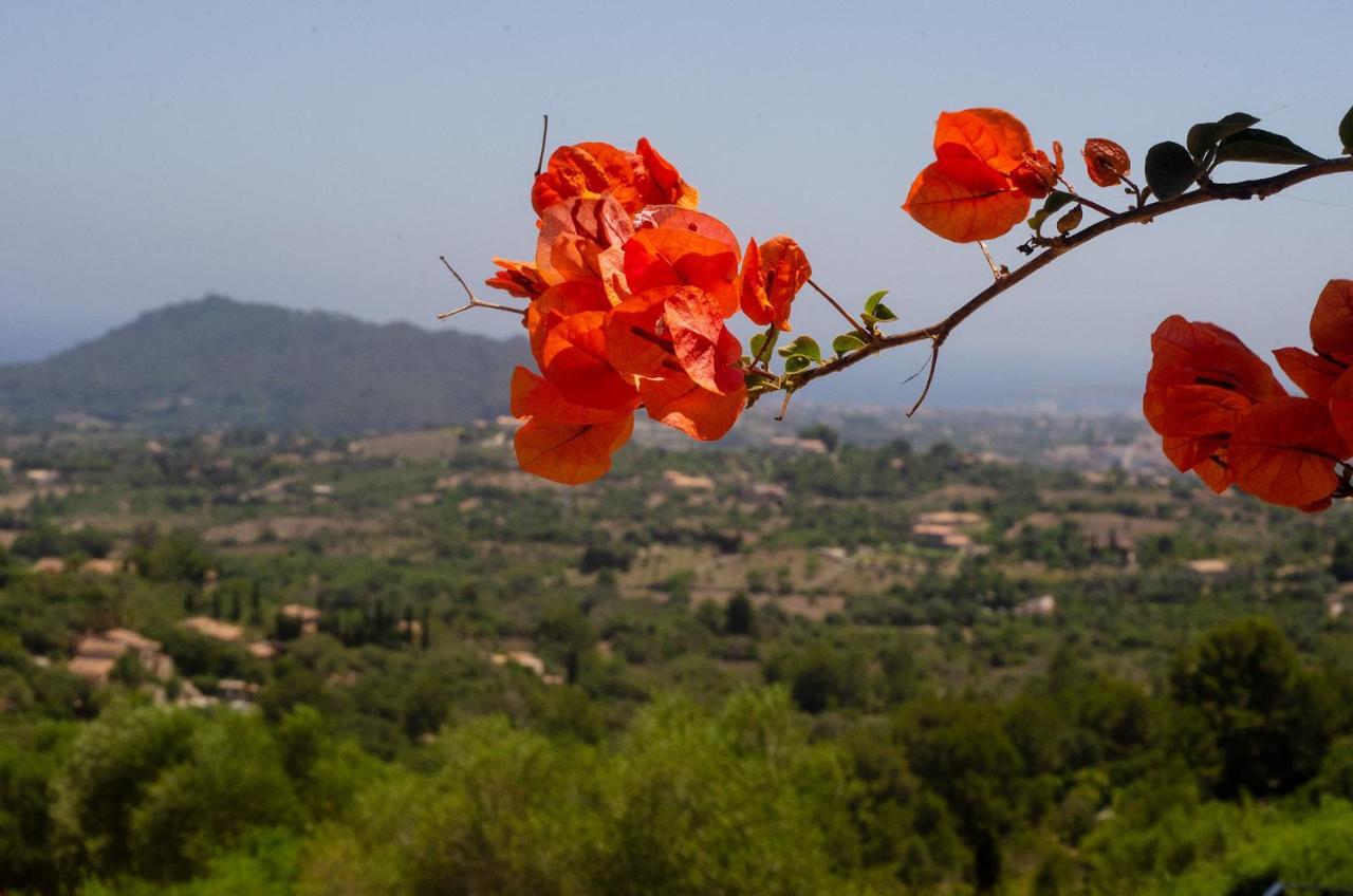 El Cel Villa Son Servera Kültér fotó